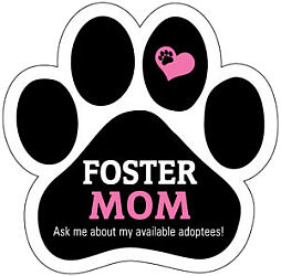 Foster Homes Needed – Apply Here! · Tiny Paws & Chi Dog Rescue