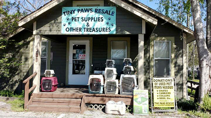 tiny paws animal rescue